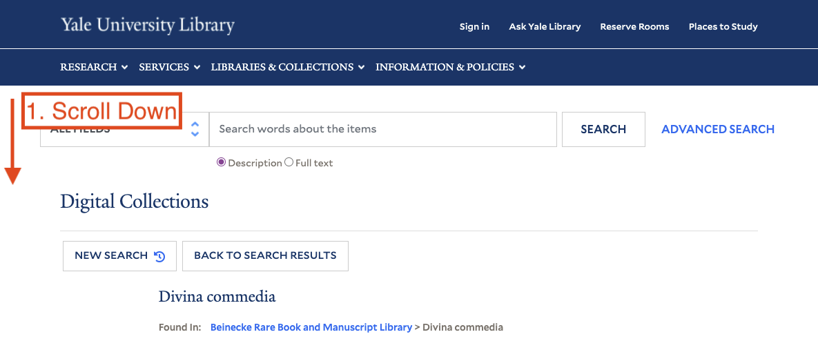 A screenshot showing to scroll down in the Library catalog